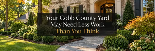 Your Cobb County Yard May Need Less Work Than You Think