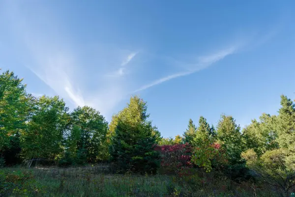 10 Acres on E White Birch Rd