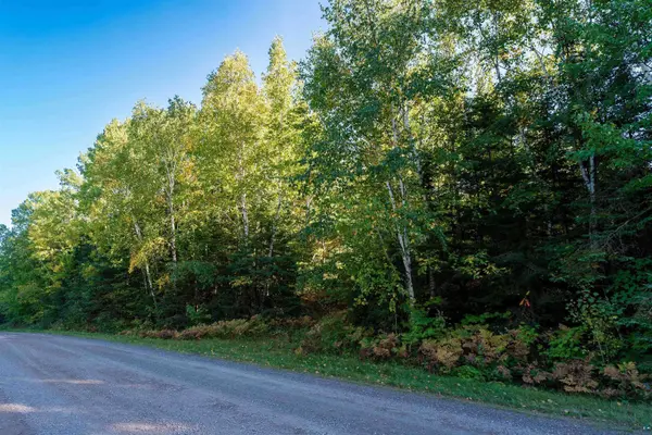 10 Acres on E White Birch Rd, Port Wing, WI 54865