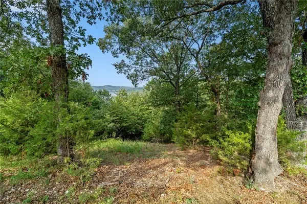 Lot 10 Hillcrest Rd, Eureka Springs, AR 72631