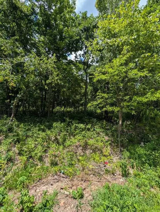 Kirkcolm Ln, Bella Vista, AR 72715