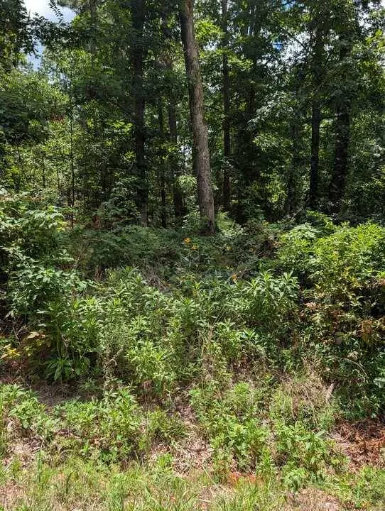 Buckden Ln, Bella Vista, AR 72715