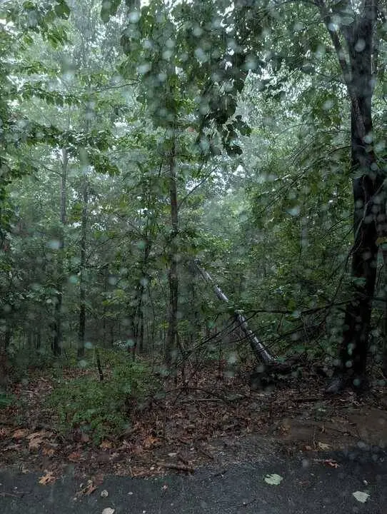 Duns Ln, Bella Vista, AR 72715