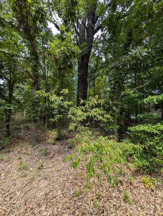 Kirkcolm Ln, Bella Vista, AR 72715