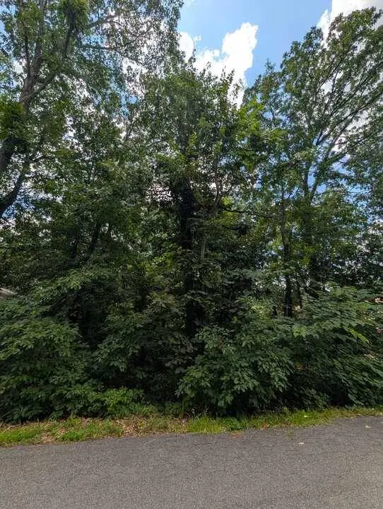 Kirkcolm Ln, Bella Vista, AR 72715