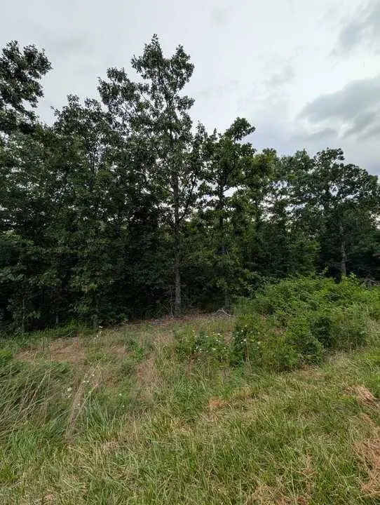 Selkirk Dr, Bella Vista, AR 72715