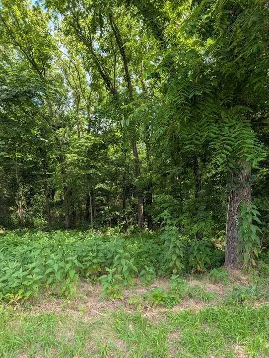 Granshire Cir, Bella Vista, AR 72714