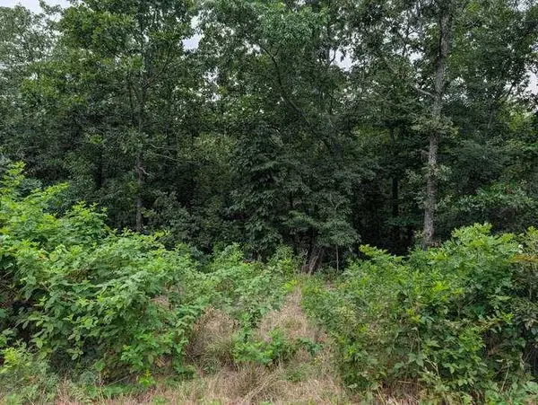 Selkirk Dr, Bella Vista, AR 72715