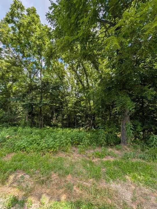Granshire Cir, Bella Vista, AR 72714