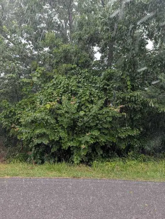 Duns Ln, Bella Vista, AR 72715