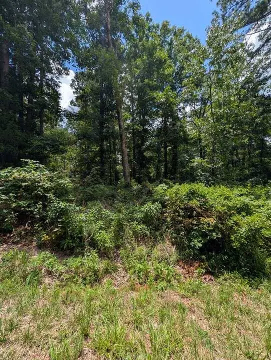 Buckden Ln, Bella Vista, AR 72715