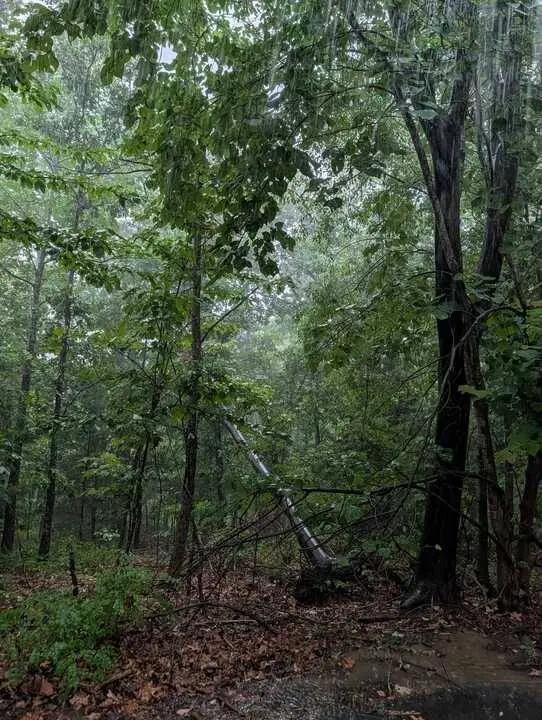 Duns Ln, Bella Vista, AR 72715