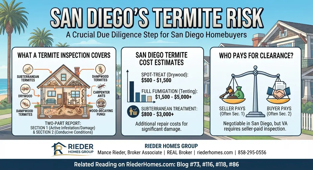 What Is a Termite Inspection and Is One Required in San Diego?