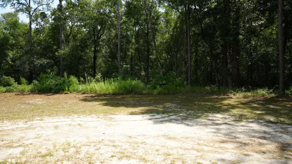 107 Canary DR, Freeport, FL 32439