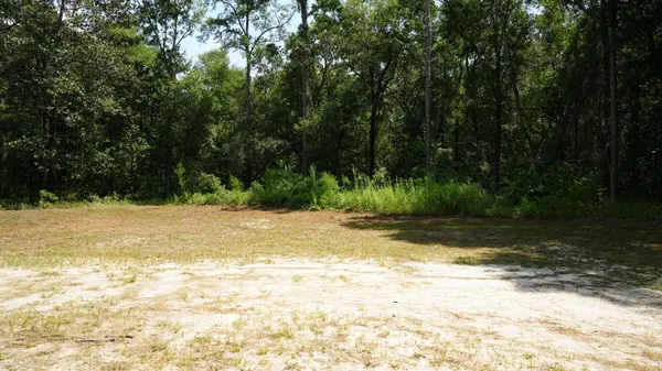 107 Canary DR, Freeport, FL 32439