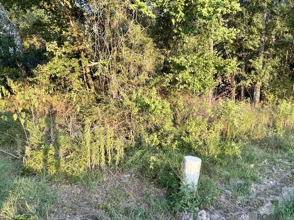 TBA 1-A La Hwy 431, Prairieville, LA 70769