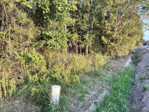 TBA 1-C La Hwy 431, Prairieville, LA 70769