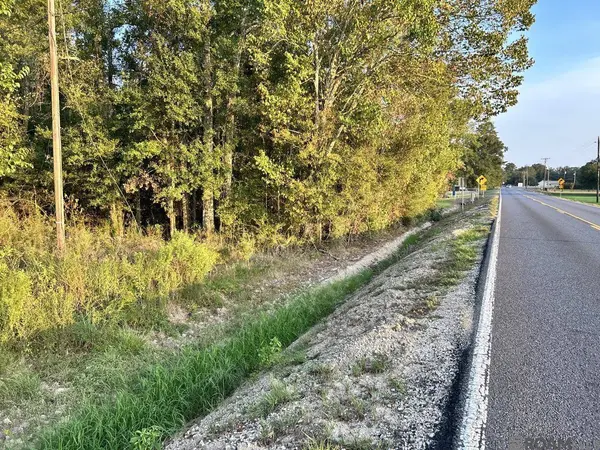 TBA 1-C La Hwy 431, Prairieville, LA 70769