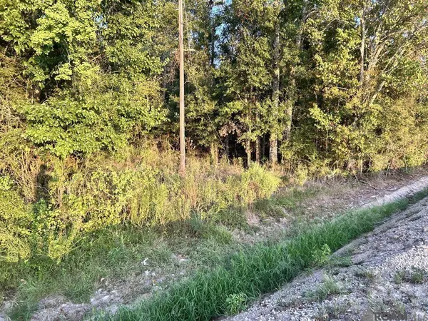 TBA 1-A La Hwy 431, Prairieville, LA 70769