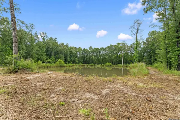 11973 Gurney Rd, Central, LA 70714