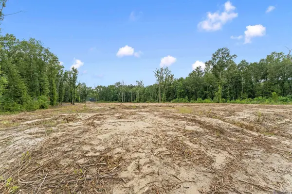 11973 Gurney Rd, Central, LA 70714
