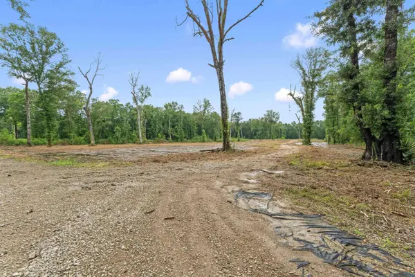 11973 Gurney Rd, Central, LA 70714