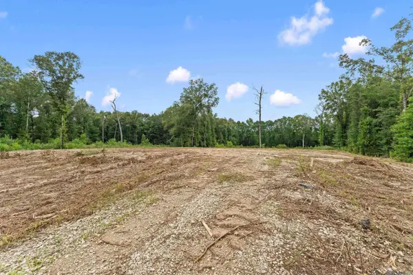 11973 Gurney Rd, Central, LA 70714