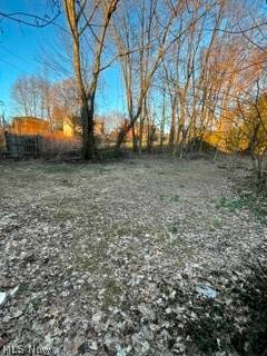 361 Central Ct, Steubenville, OH 43952