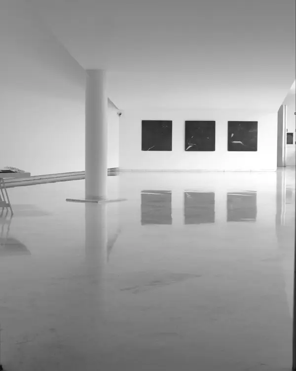 rui-alves-2mg1ct3GlbA-unsplash