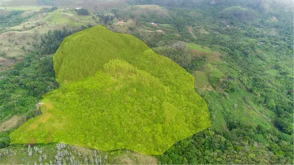 La Laguna de San carlos
