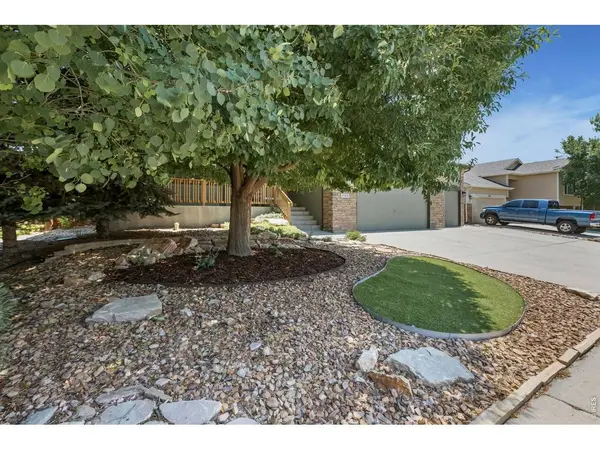 404 Prairie Clover, Severance, CO 80550