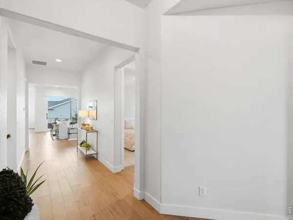 1746 Abundance, Windsor, CO 80550