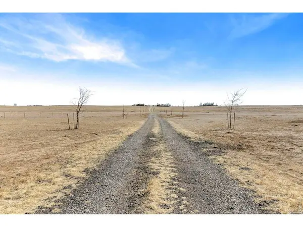 Curtis, Fort Collins, CO 80524
