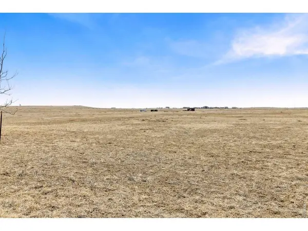 Curtis, Fort Collins, CO 80524