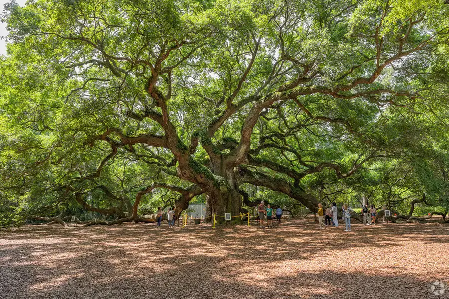 Johns Island