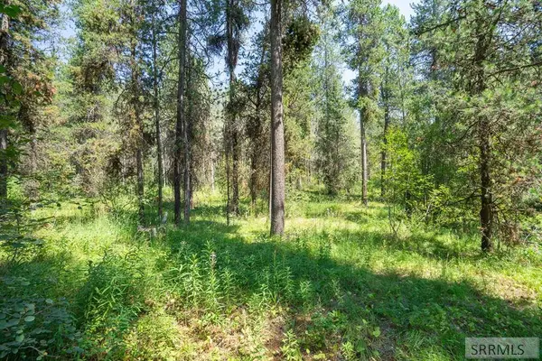 4344 Ridge Crest, Ashton, ID 83420