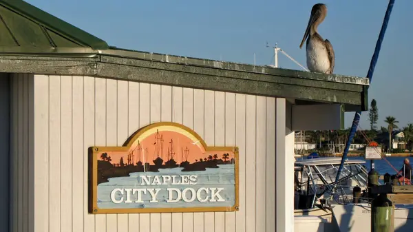 Naples Florida Luxury Real Estate: A Neighborhood Guide for Waterfront, Beach, Golf, and Walkable Living,Erica Vitiello Swift