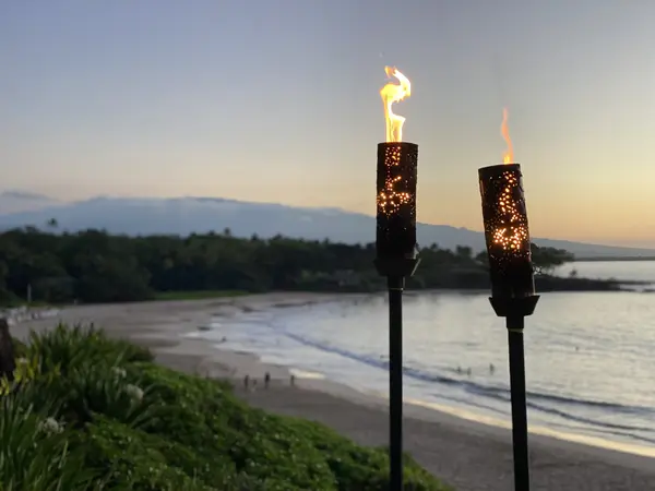 kanya-kangas-hawaii-real-estate