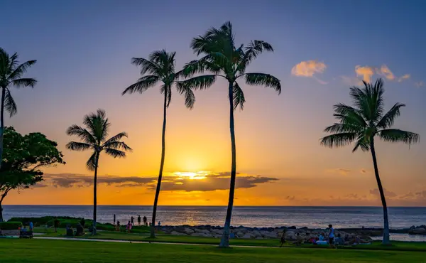 How to Begin Your Kohala Coast Home Search from Afar