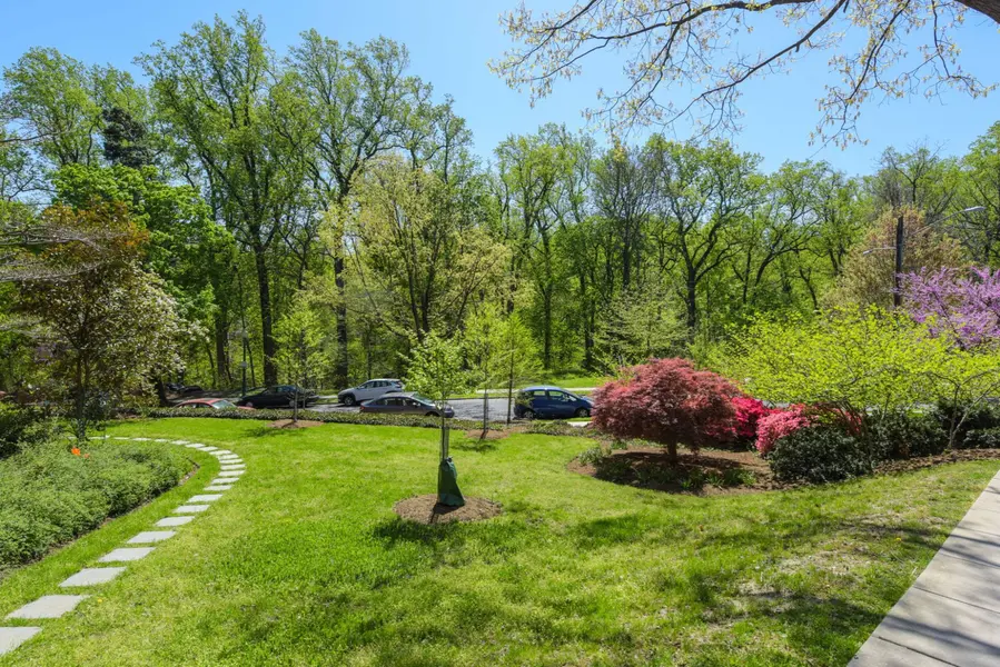 North Cleveland Park