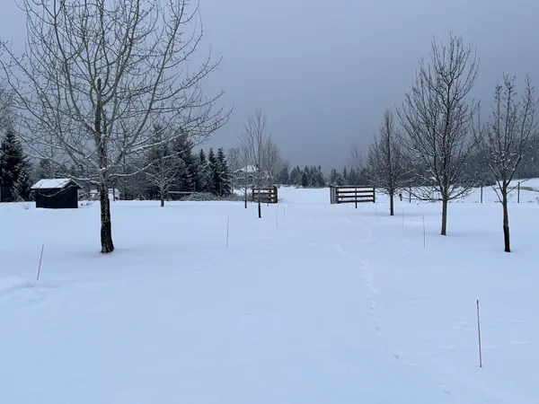 Buying a Home in Coeur d'Alene During Winter: Advantages, Challenges & What Buyers Should Know