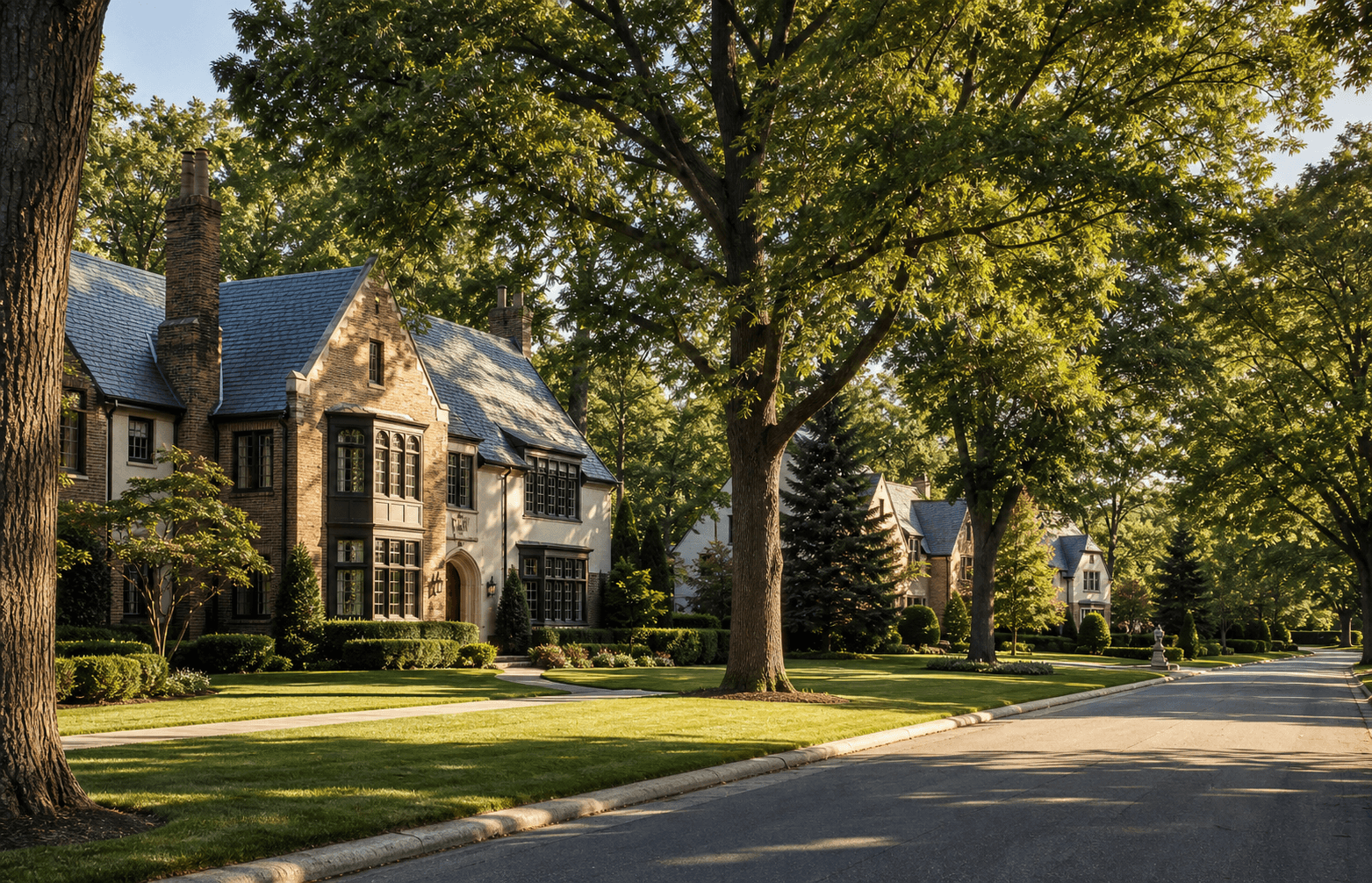 A River Forest street of large houses under a heavy tree canopy