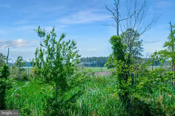 34742 FRONTIER RD, Lewes, DE 19958