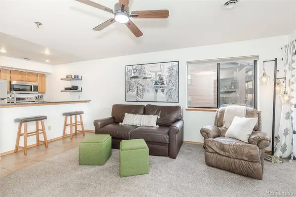 715 S 5th AVE #J170, Frisco, CO 80443