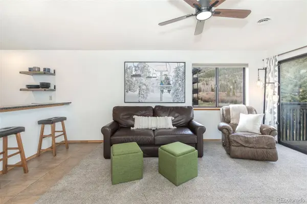 715 S 5th AVE #J170, Frisco, CO 80443