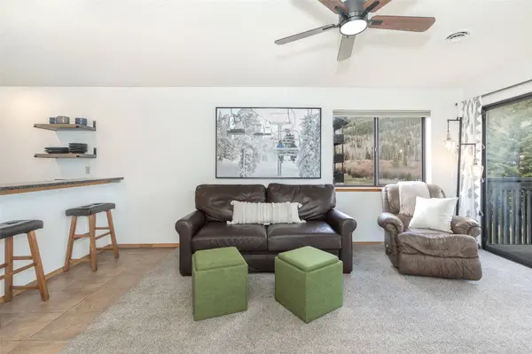 715 S 5th AVE #170, Frisco, CO 80443