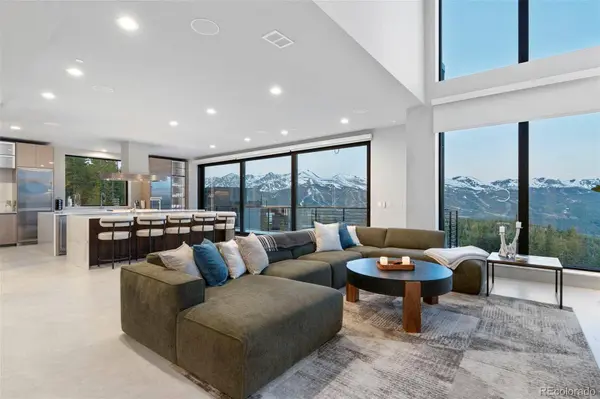 316 N Fuller Placer RD, Breckenridge, CO 80424