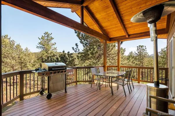 163 Buffum ST, Bailey, CO 80421