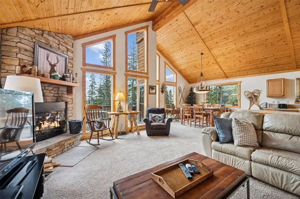 585 Miners WAY, Fairplay, CO 80440