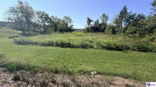Lot 2B-14153 St John Road, Rineyville, KY 42788